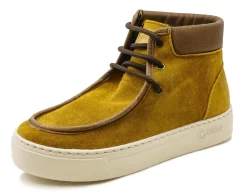 Lice