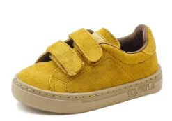 Teo