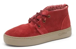 Wool